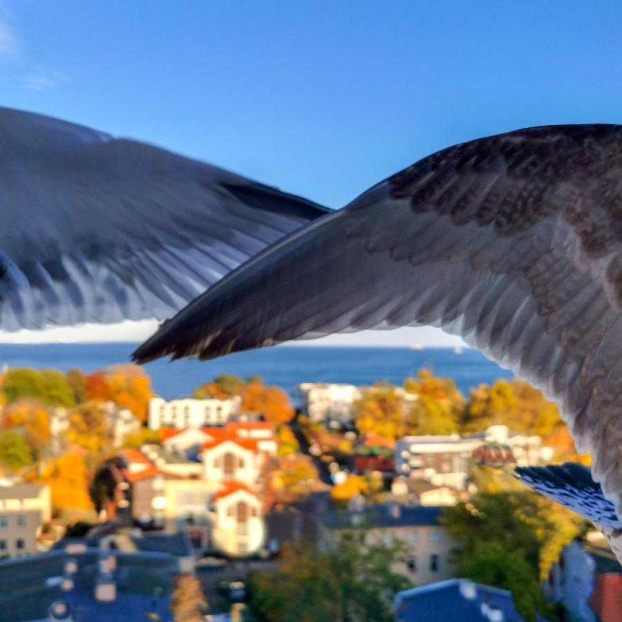 Ferienwohnung Pokoje Przy Plazy Z Widokiem Na Morze Zoppot Exterior foto