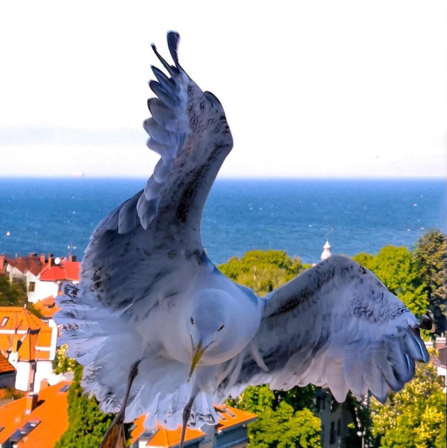 Pokoje Przy Plazy Z Widokiem Na Morze Zoppot Exterior foto